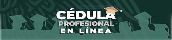 Cédula profesional