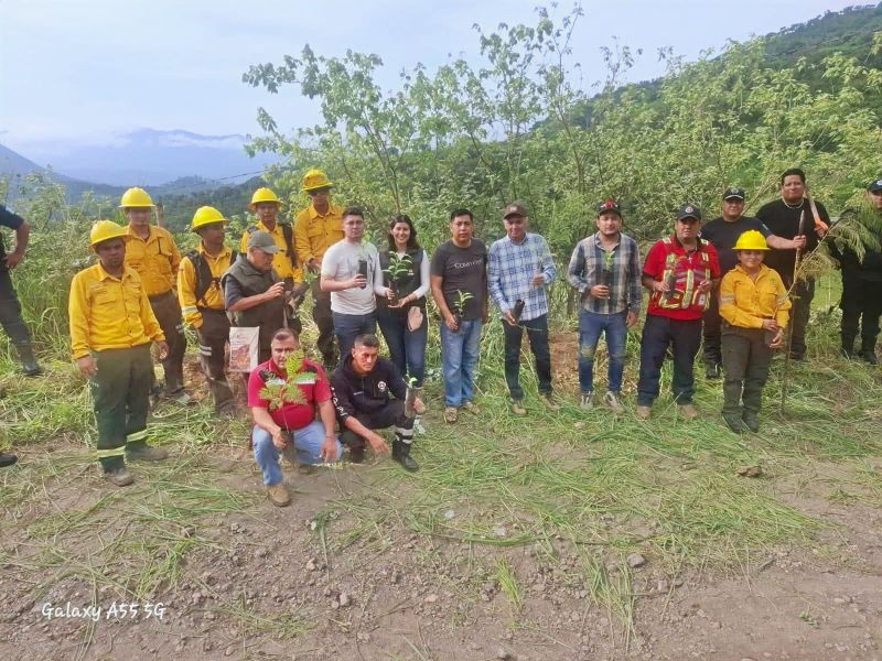 TEJUPILCO SE SUMA A LA JORNADA NACIONAL DE REFORESTACIÓN EN FAVOR DEL CUIDADO DEL MEDIO AMBIENTE